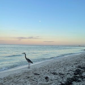 Meet your Posher, Ailyn